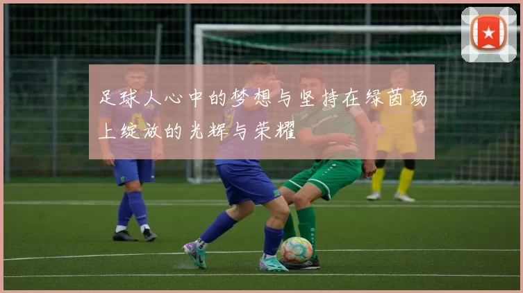 足球人心中的梦想与坚持在绿茵场上绽放的光辉与荣耀
