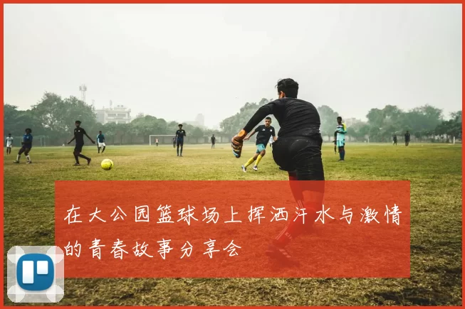 在大公园篮球场上挥洒汗水与激情的青春故事分享会